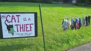 Yard sign saying "My cat is a thief" with gloves hanging on a line in a grassy yard.