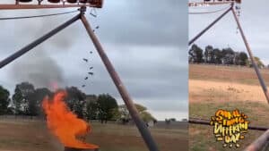 Fire burning in a barrel outdoors with birds flying above and a TikTok watermark visible