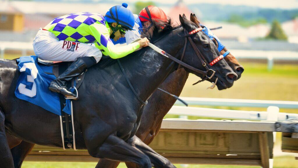 Breeder's Cup, betting