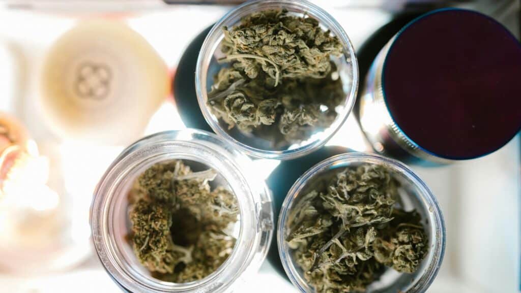 In many places where THC is restricted or illegal, THCA may still be allowed. You can try these top 5 THCA flower brands to have the best cannabis session.