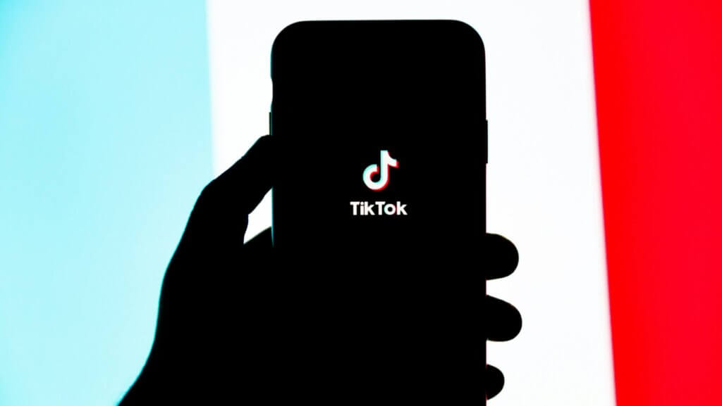 Let’s take a look at some of the most successful TikTok influencers and how they became millionaires!