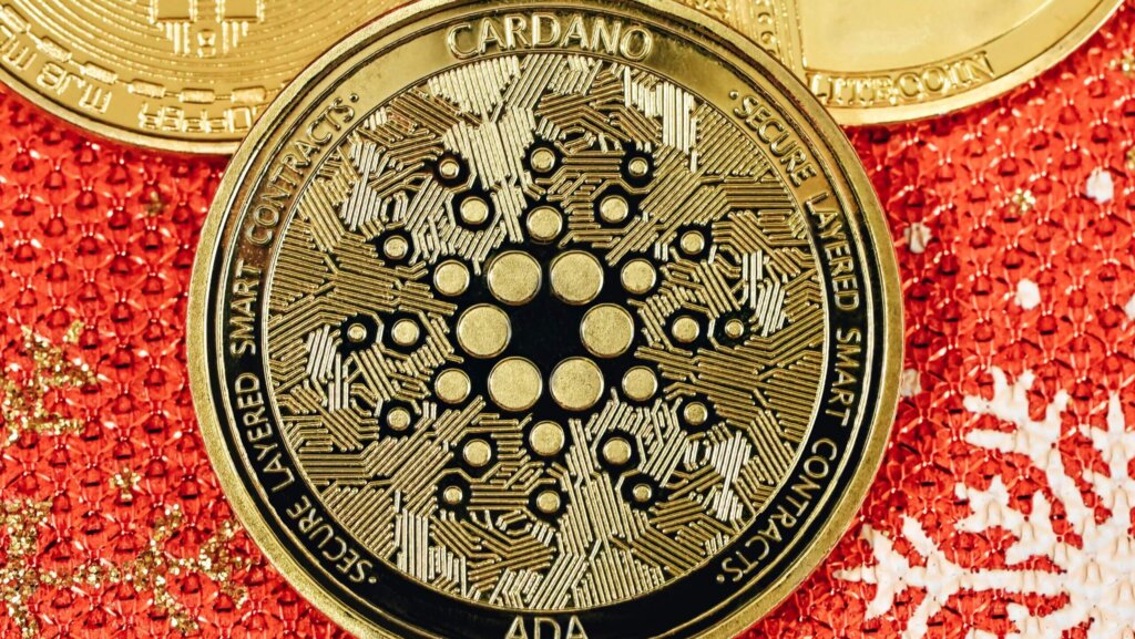 Cardano is a fully decentralized blockchain platform designed to be faster and more efficient as a result of its use of the proof-of-stake protocol.