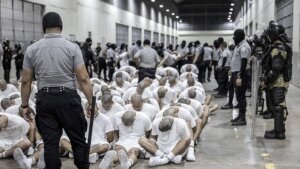 Alleged members of the violent Venezuelan street gang Tren de Aragua are escorted to their cells at the maximum-security Terrorism Confinement Center (CECOT) in Tecoluca, El Salvador, on Sunday, March 16, 2025. The Trump administration used the Alien Enemies Act of 1798 to deport suspected gang members.