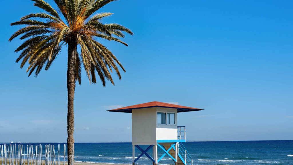 This guide will uncover Palm Beach County's most Instagrammable spots, spanning scenic beaches, historic landmarks, and breathtaking gardens. Bookmark this blog for your next photography adventure.